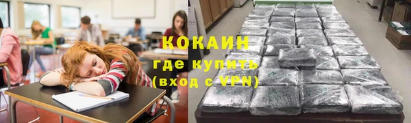 амф Алексин
