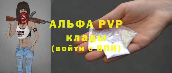 амф Алексин