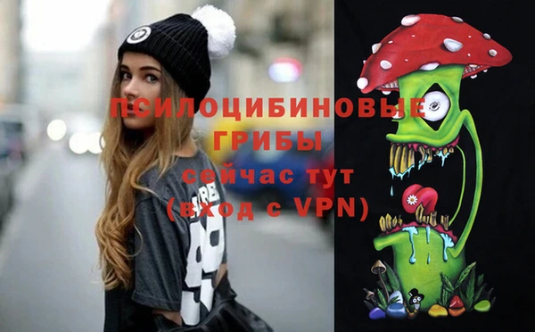 а пвп мука Алзамай